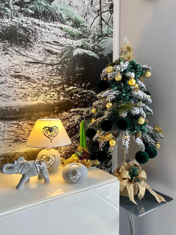 Apartament Dzika Paproc Szczawnica Exteriér fotografie