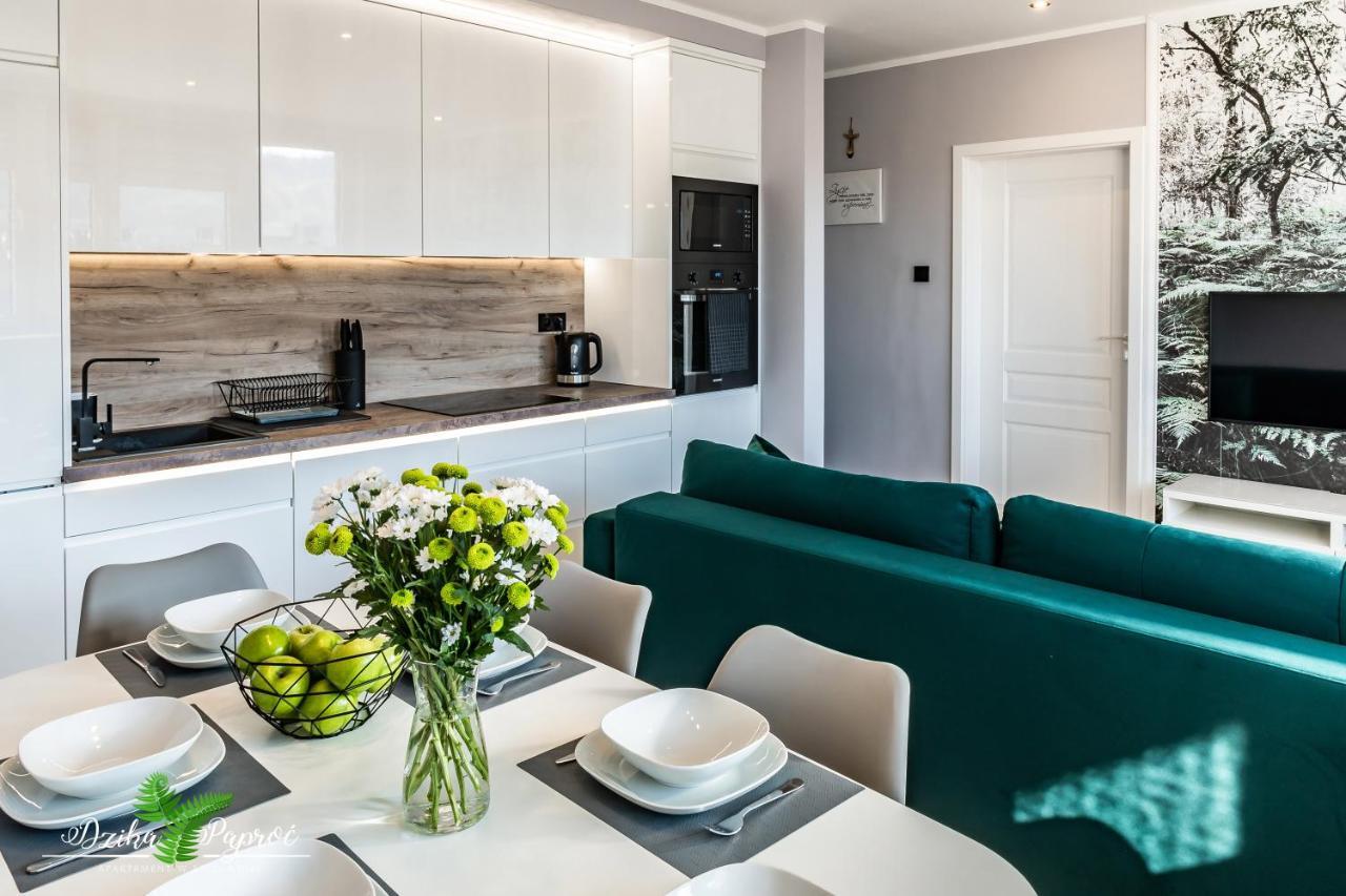 Apartament Dzika Paproc Szczawnica Exteriér fotografie